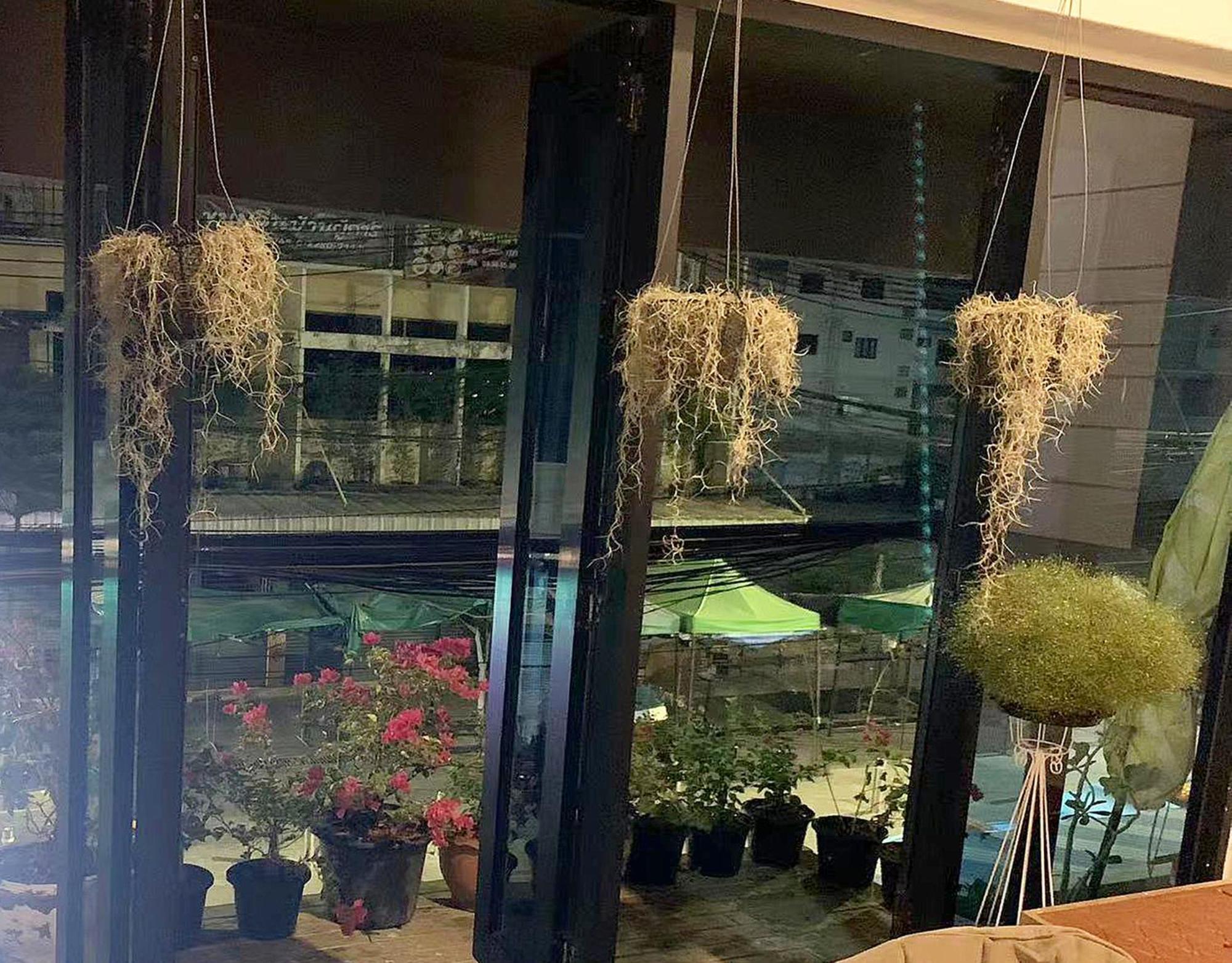 Susu Khaosan Hostel Bangkok Ngoại thất bức ảnh